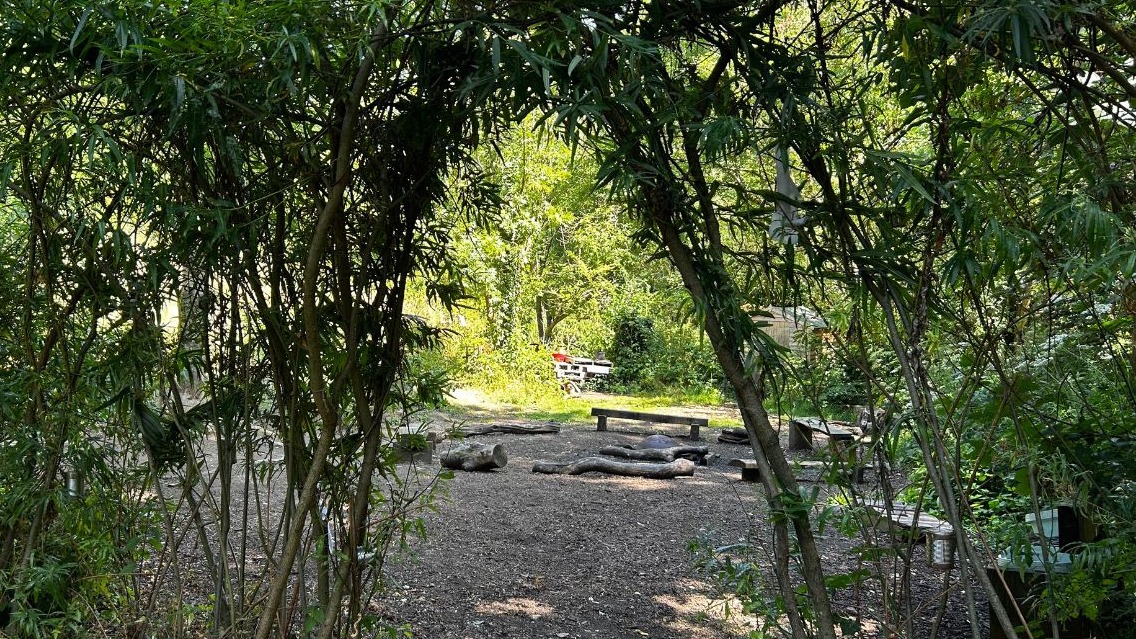 undefined-Nature Nook-1