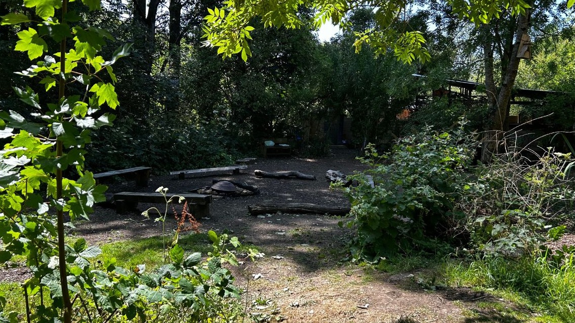 undefined-Nature Nook-2