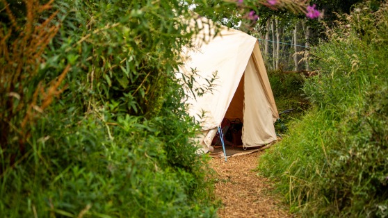 Waiting list: Afterschool Adventures at the Glade-Belfast YMCA-1