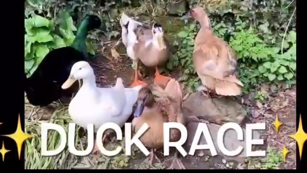 Easter Family Fun Workshops-InspireU Studios Gower-1