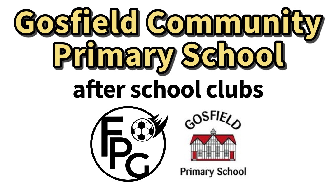 Gosfield Community After School - Dodgeball