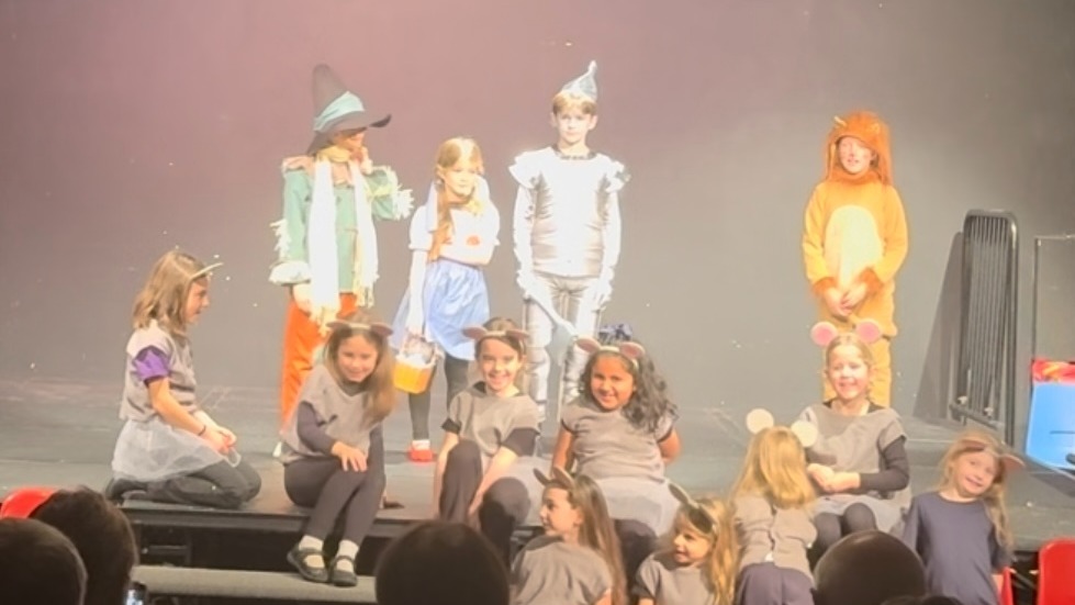 FURLEY PARK PERFORMING ARTS