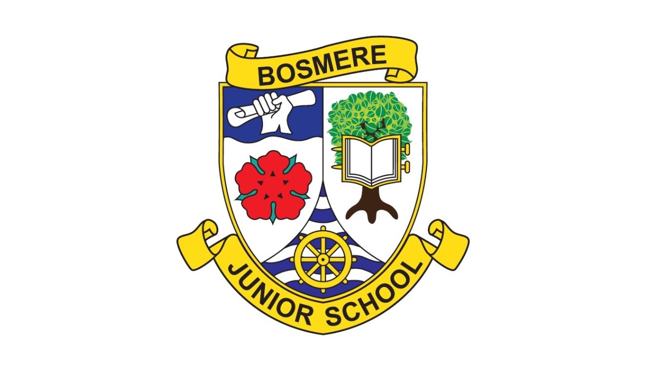 All Year Groups - Bosmere Junior School - Minecraft Club
