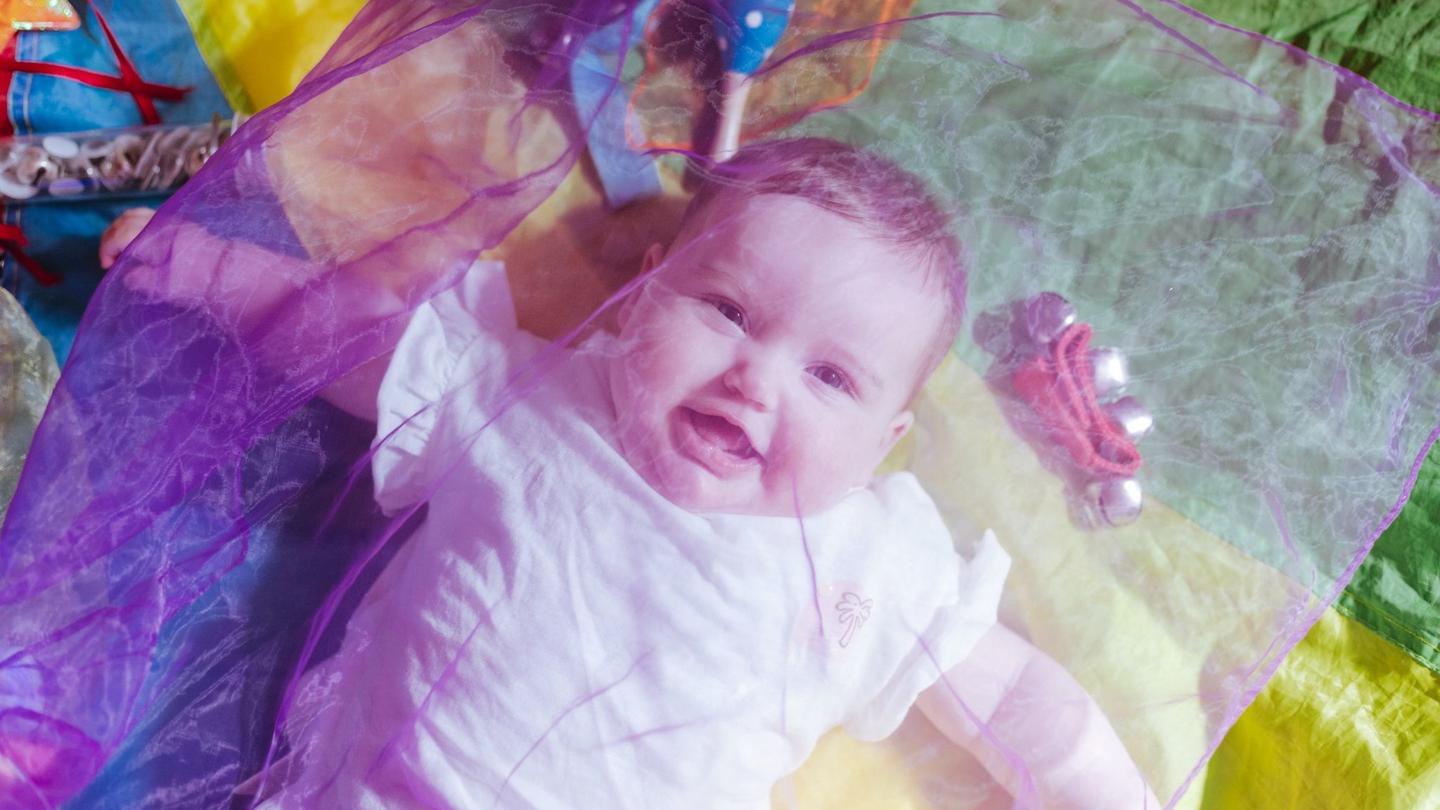 Mini Movers đ- Dinas Powys â photo 4