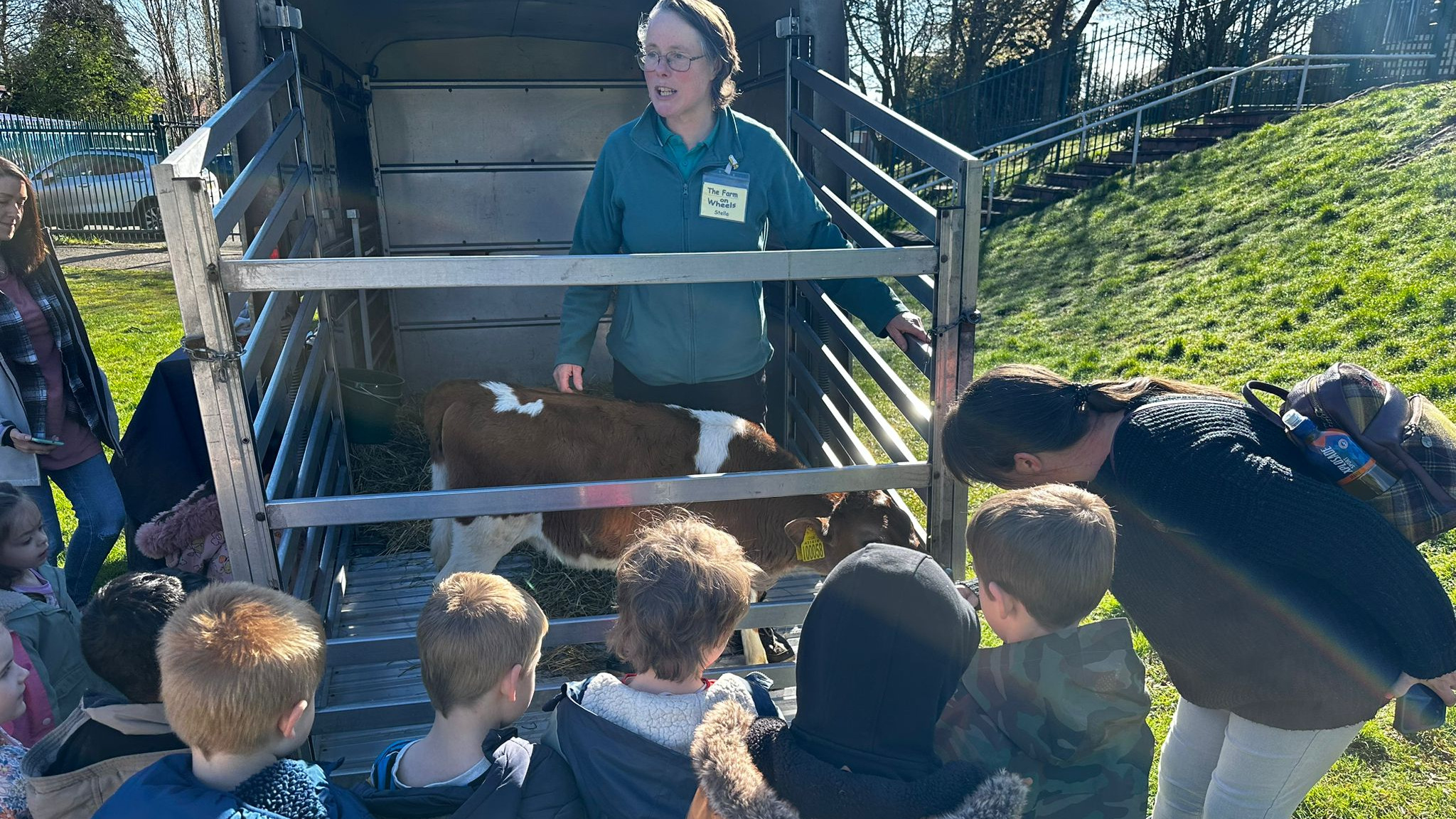 undefined-Maverick Sport-1