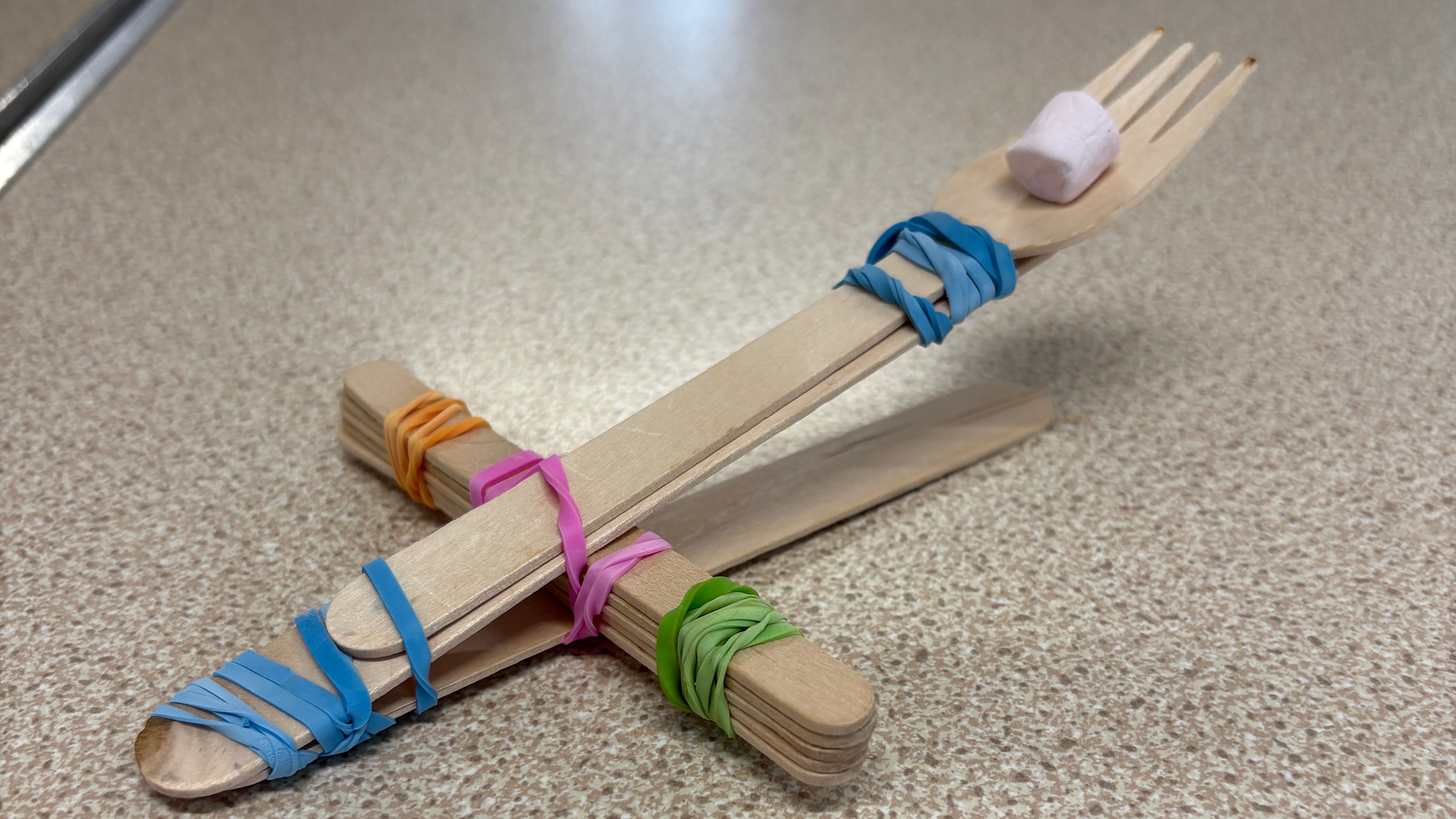 Home Ed Science Class, 11.05-12.05, Sep-Oct 2026 — photo 4