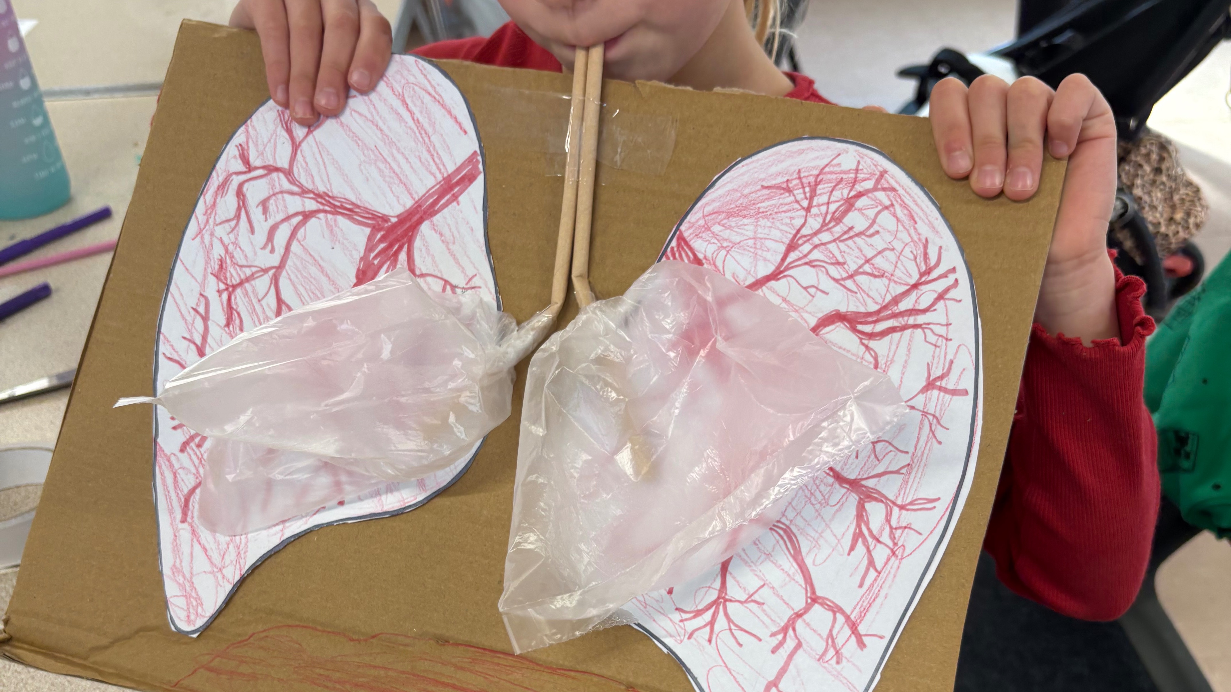 Home Ed Science Class, 11.05-12.05, Sep-Oct 2026 — photo 2