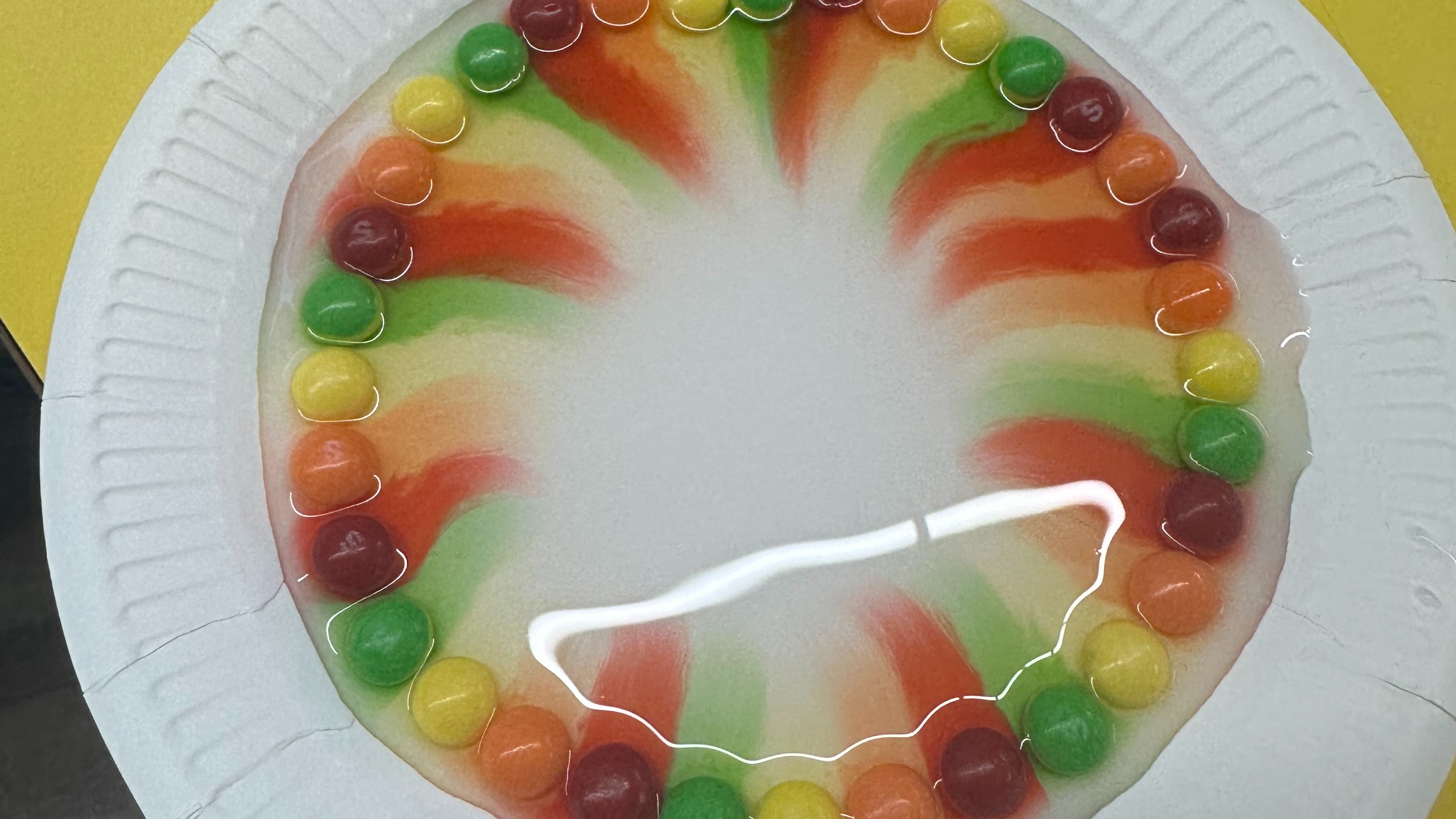 Chelmsford Active Camp-CMXSC-3