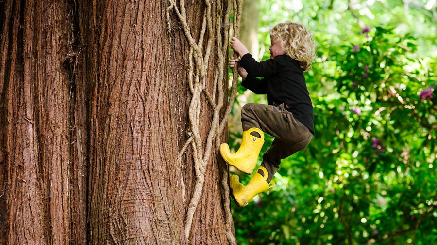 undefined-The Outdoors Group-4