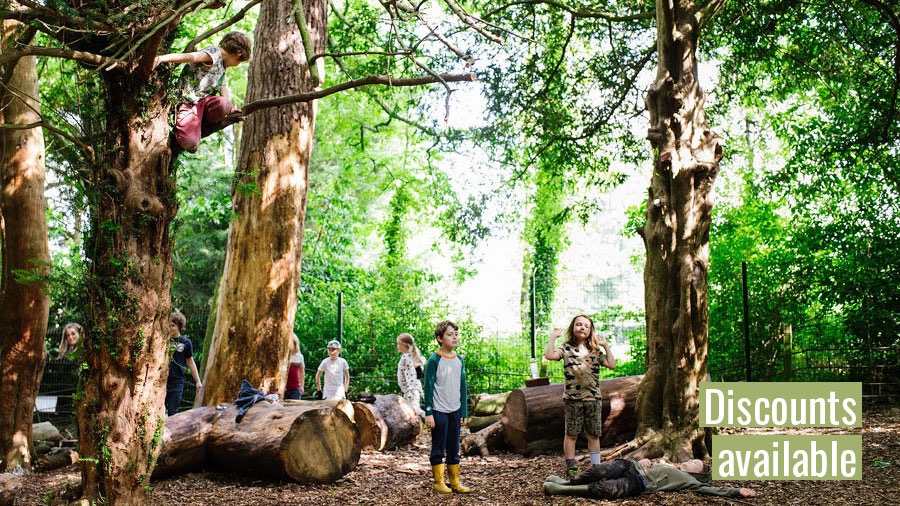 Exmouth Forest School Holiday Club-The Outdoors Group-0