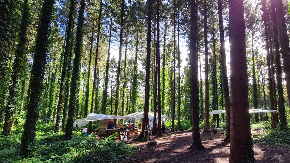 ITC Level 3 Paediatric & Forest School 1st Aid-The Outdoors Group-1