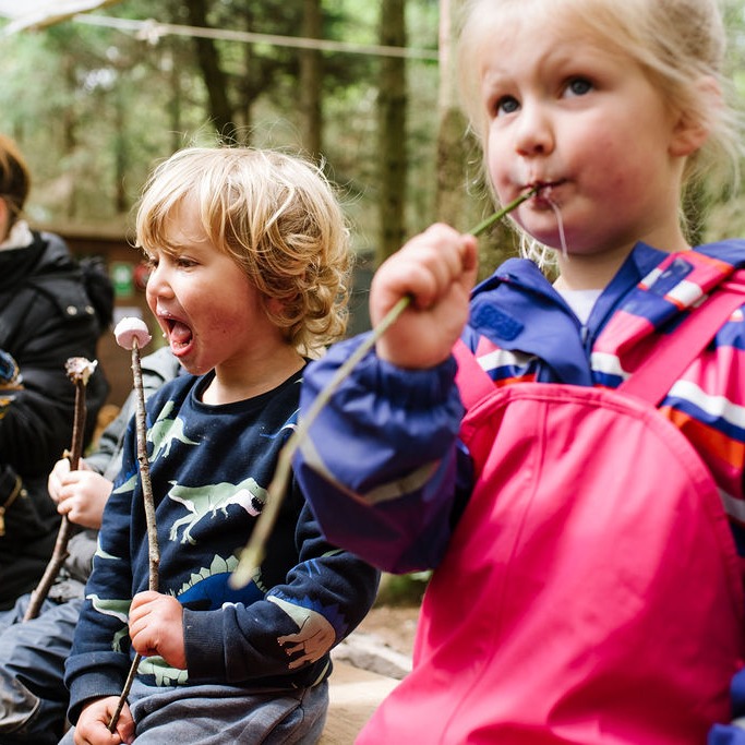 Totnes Tree Tot Toddlers-The Outdoors Group-2