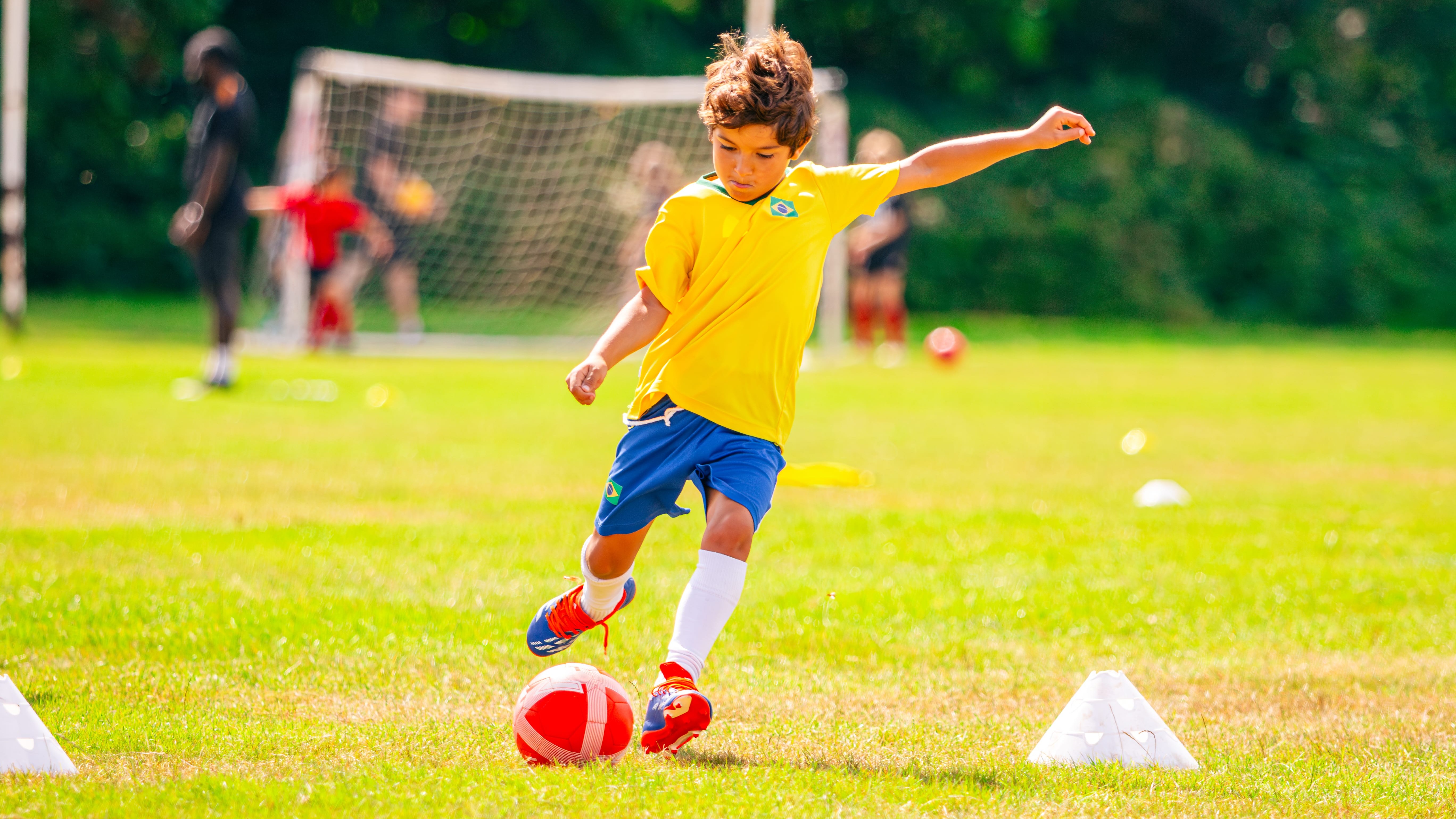 undefined-SkillsCoach-2