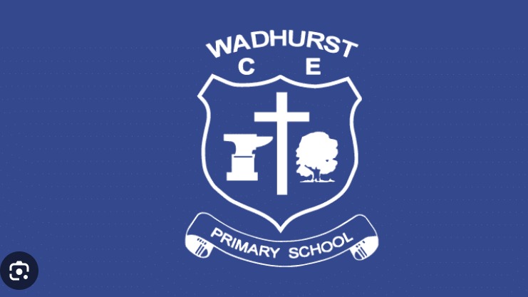 Term 1 - Football club at Wadhurst Primary Year 1 & 2