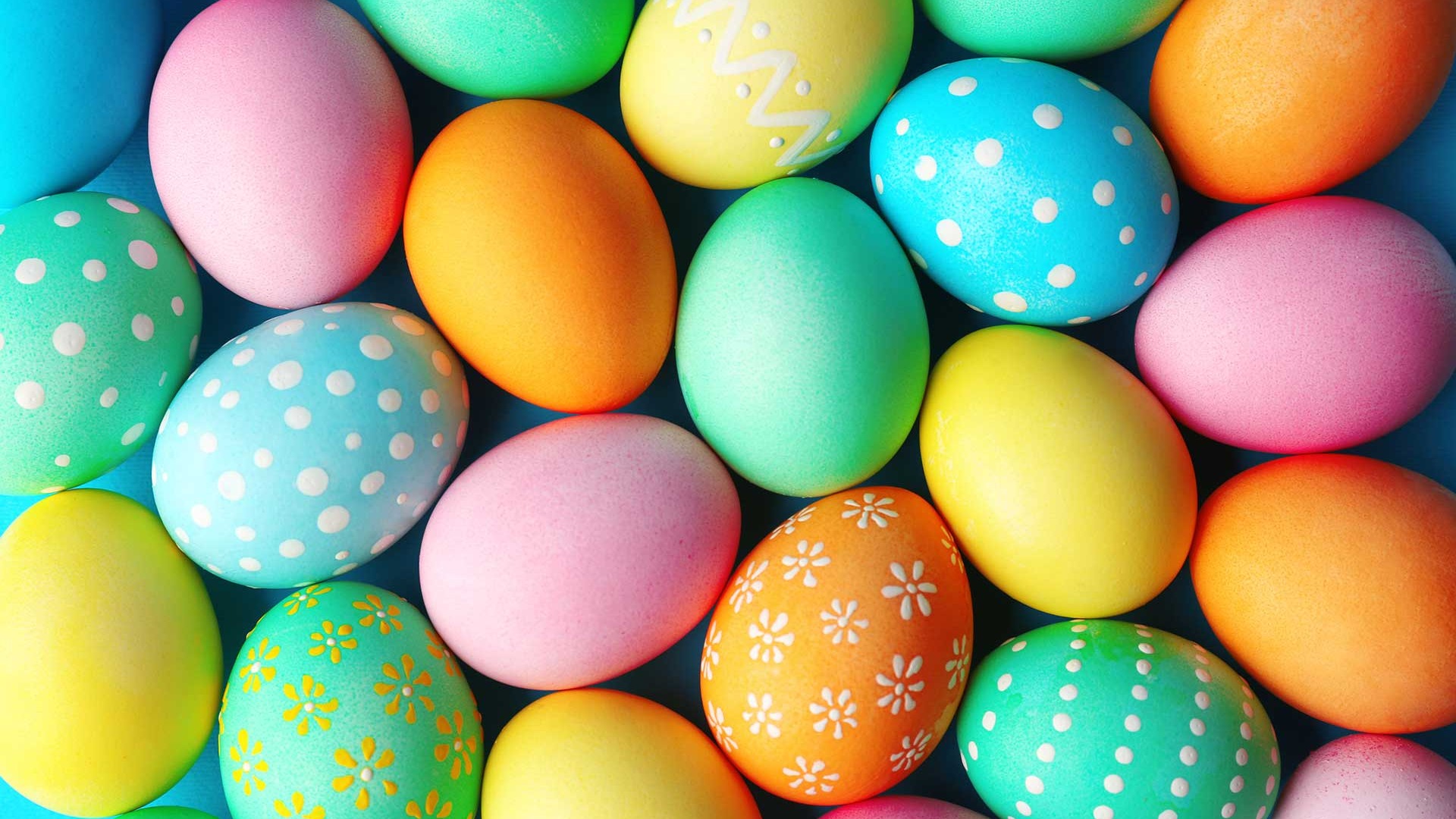 undefined-Little Bunny Bakers-5