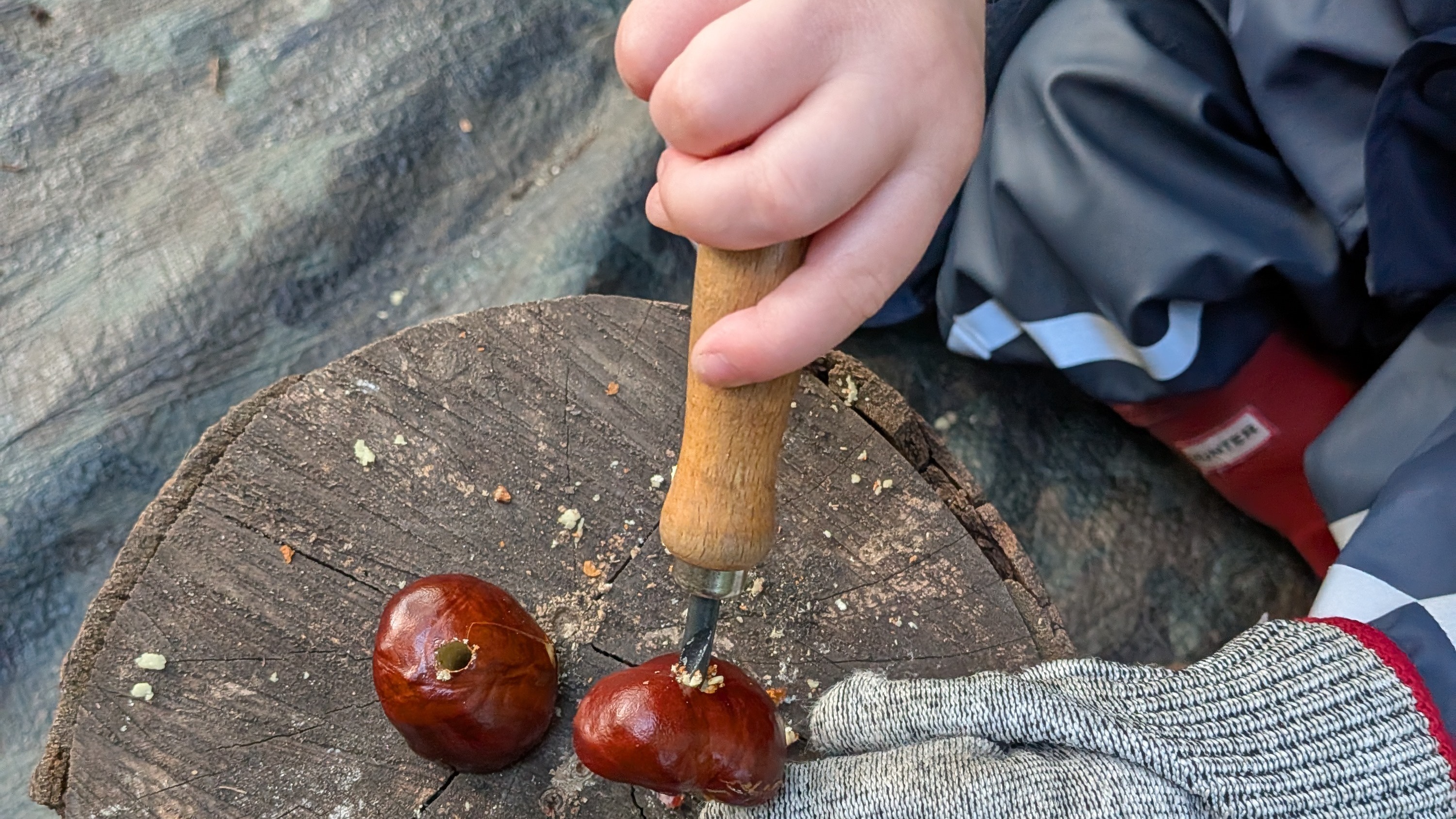 Wild Tots Autumn Term 2026 — photo 4