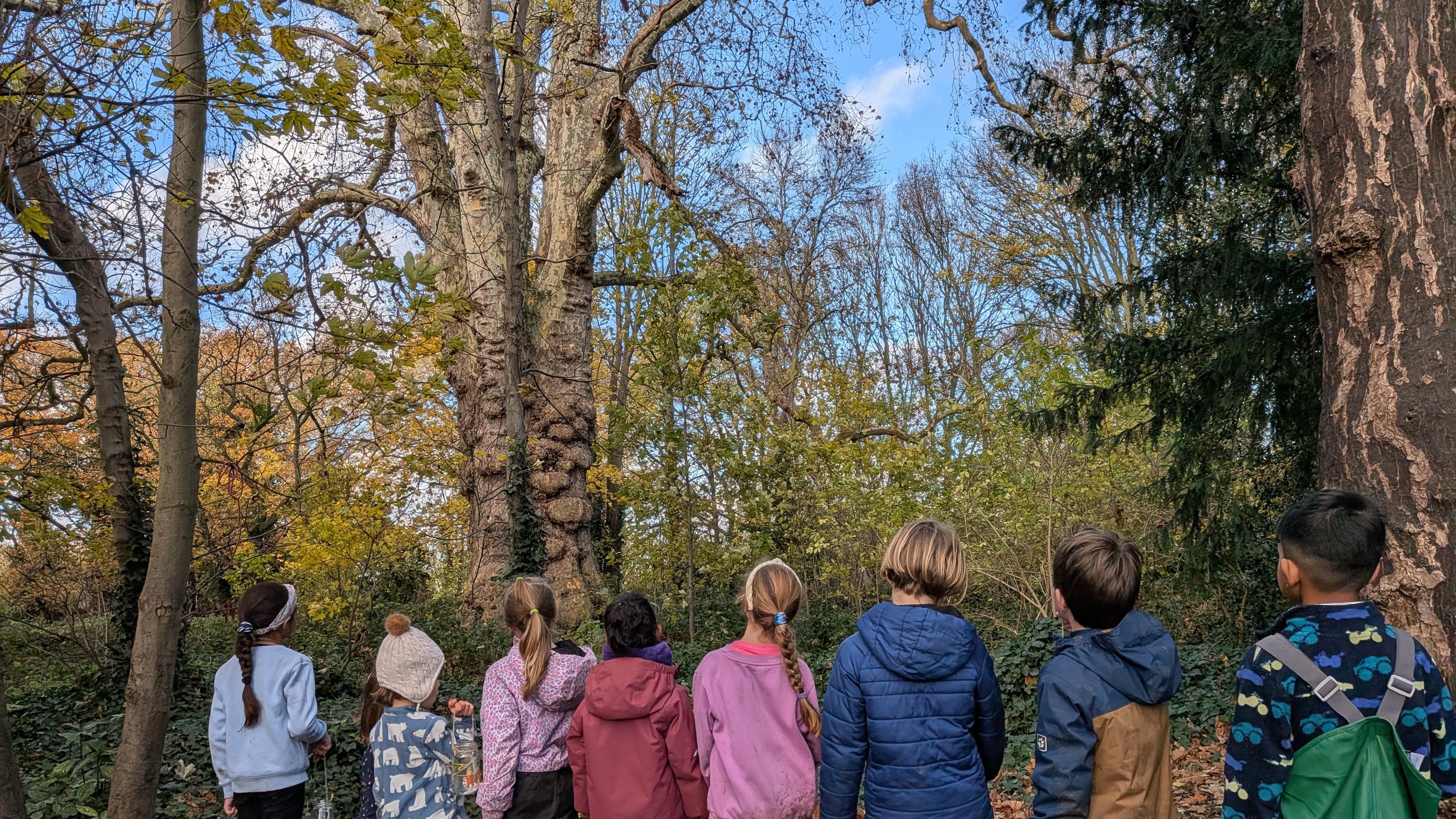 Wild-Beginnings - Home Education Autumn Term 1