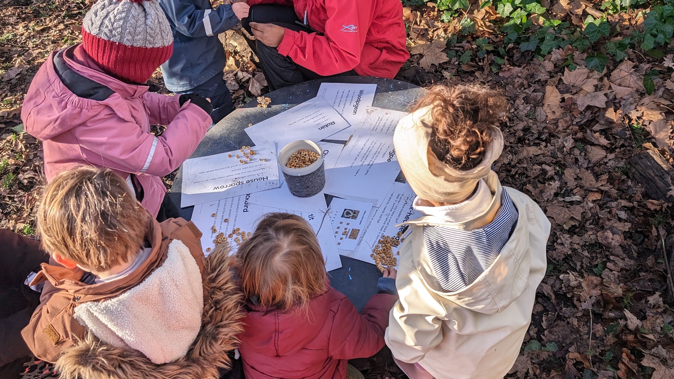 Wild Tots Autumn Term 2026
