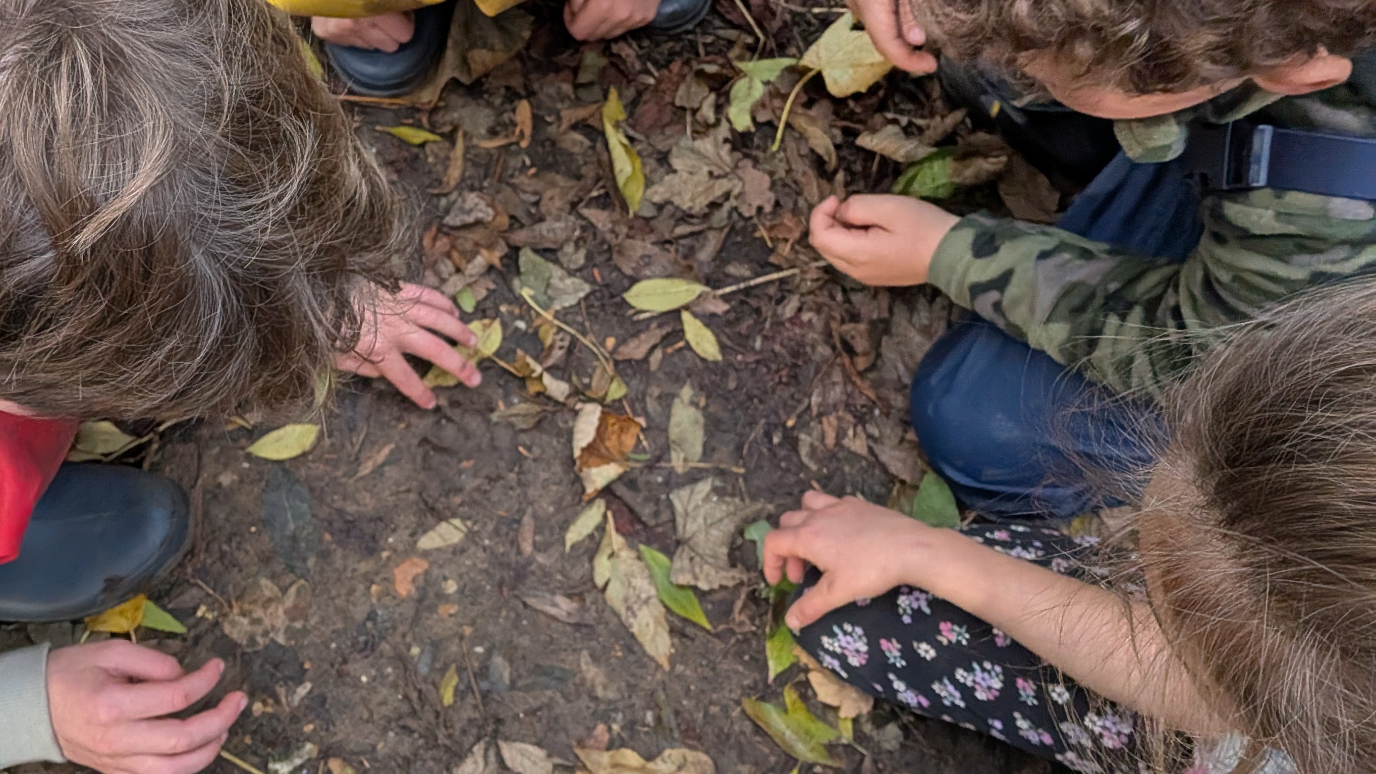 Wild-Beginnings - Home Education Autumn Term 2 — photo 4