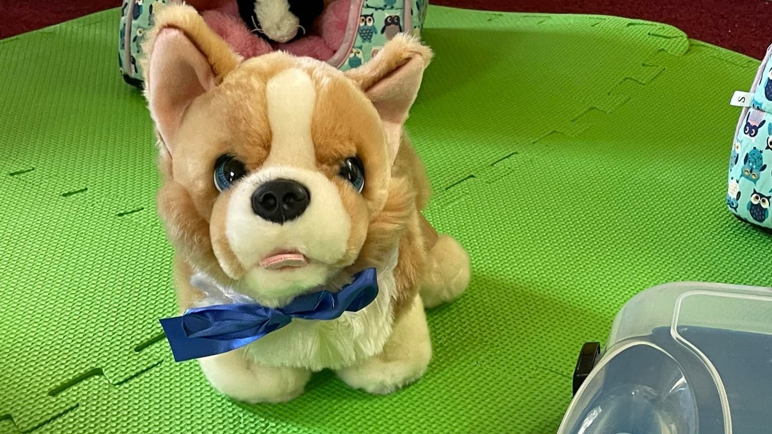 undefined-Pop Up Play Village -	Northants, Bucks and Oxon-4