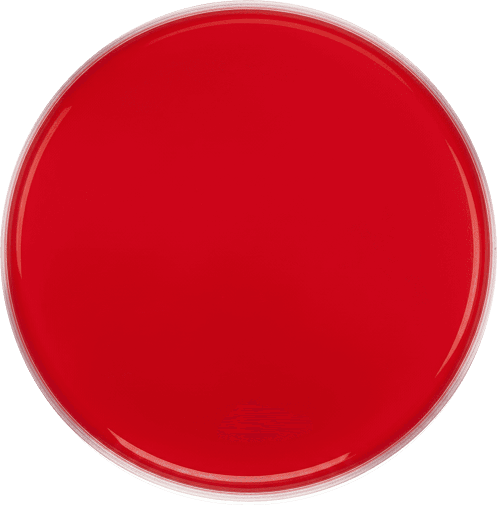 %5 Sheep Blood Agar with Bacitracin