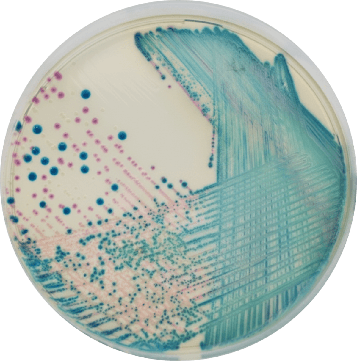 Ürün resmi 1