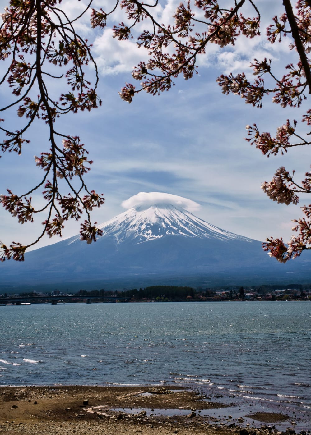 Mt. Fuji rising above the landscape in Japan