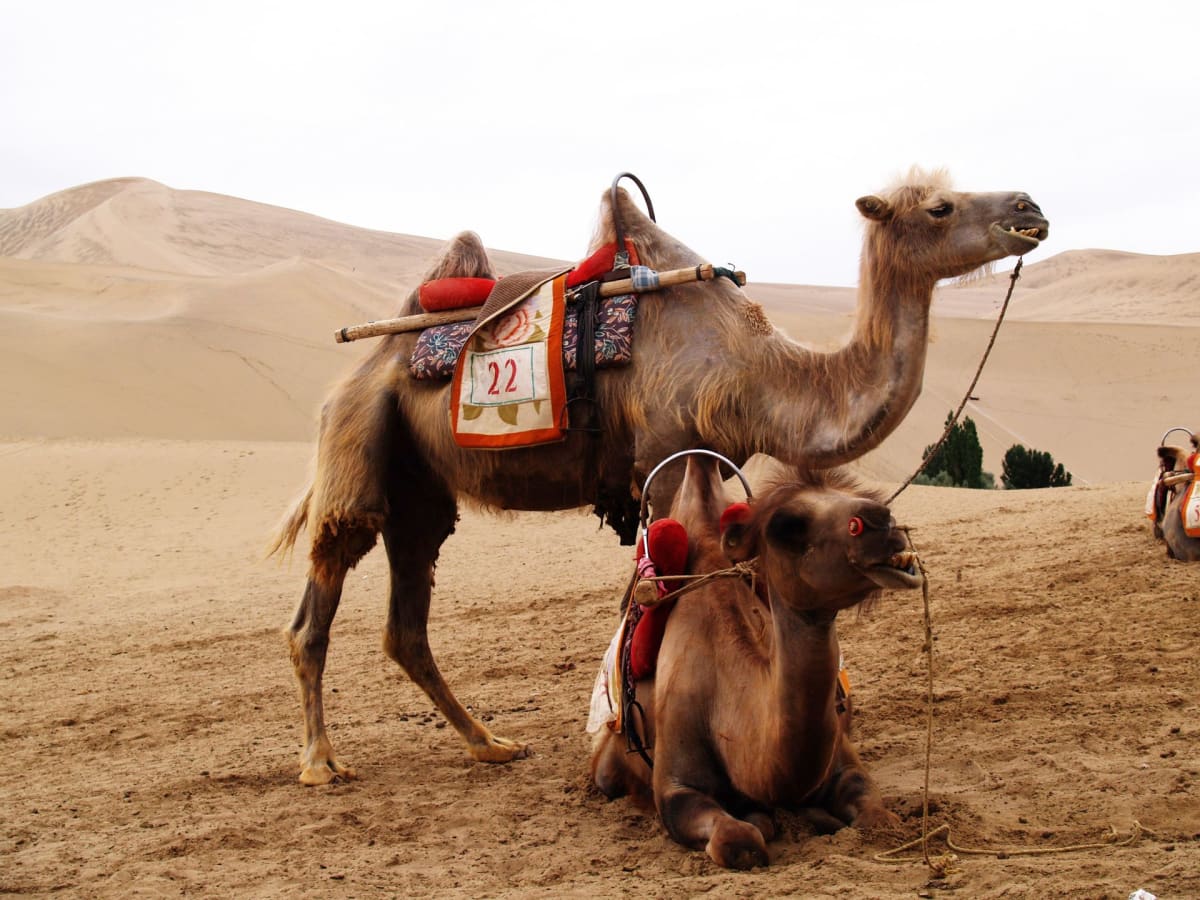 Nubra Valley