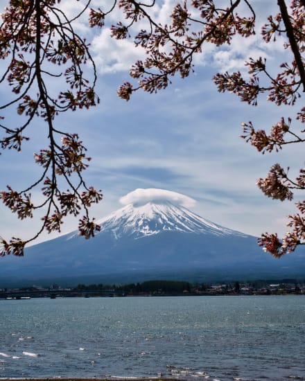 Mt. Fuji rising above the landscape in Japan
