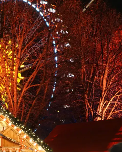 A moment from the Central Europe NYE Loop