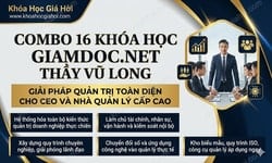 Combo 16 Khóa Học GiamDoc.net Thầy Vũ Long