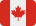 Country Flag