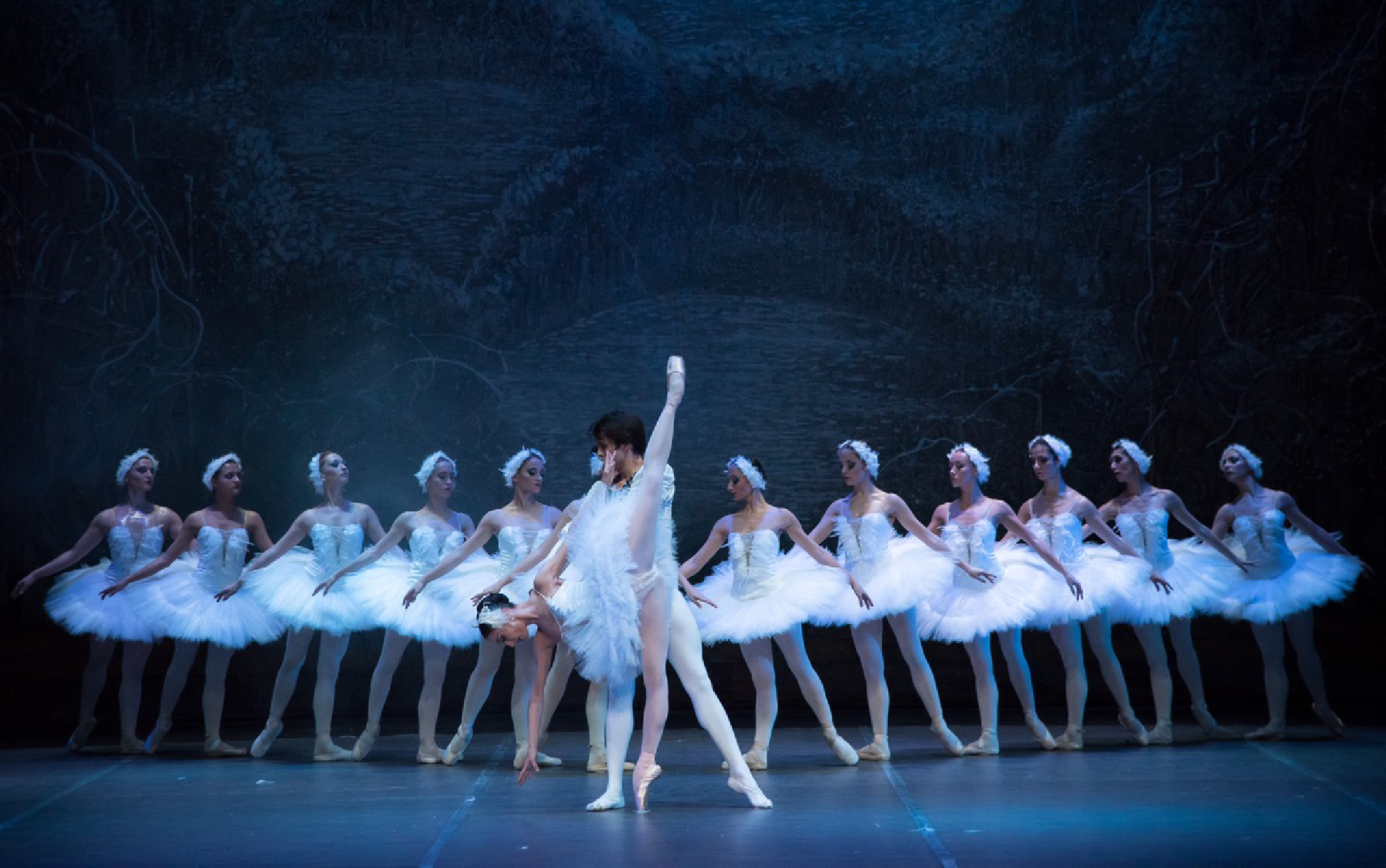 Swan Lake - Ballet Performance