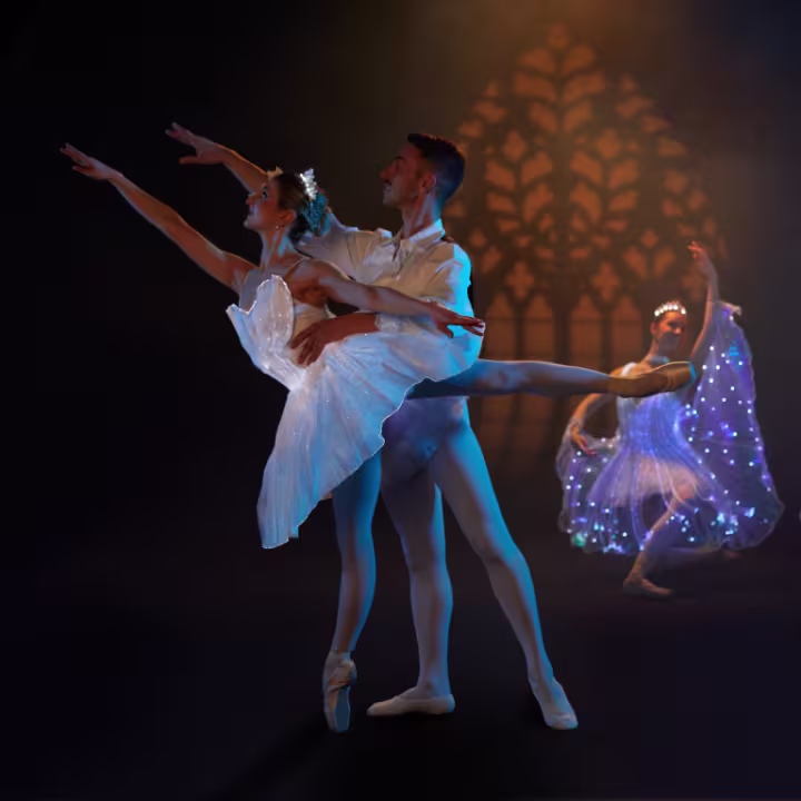 Ballet of Lights: Sleeping Beauty in a Sparkling Show Image 1
