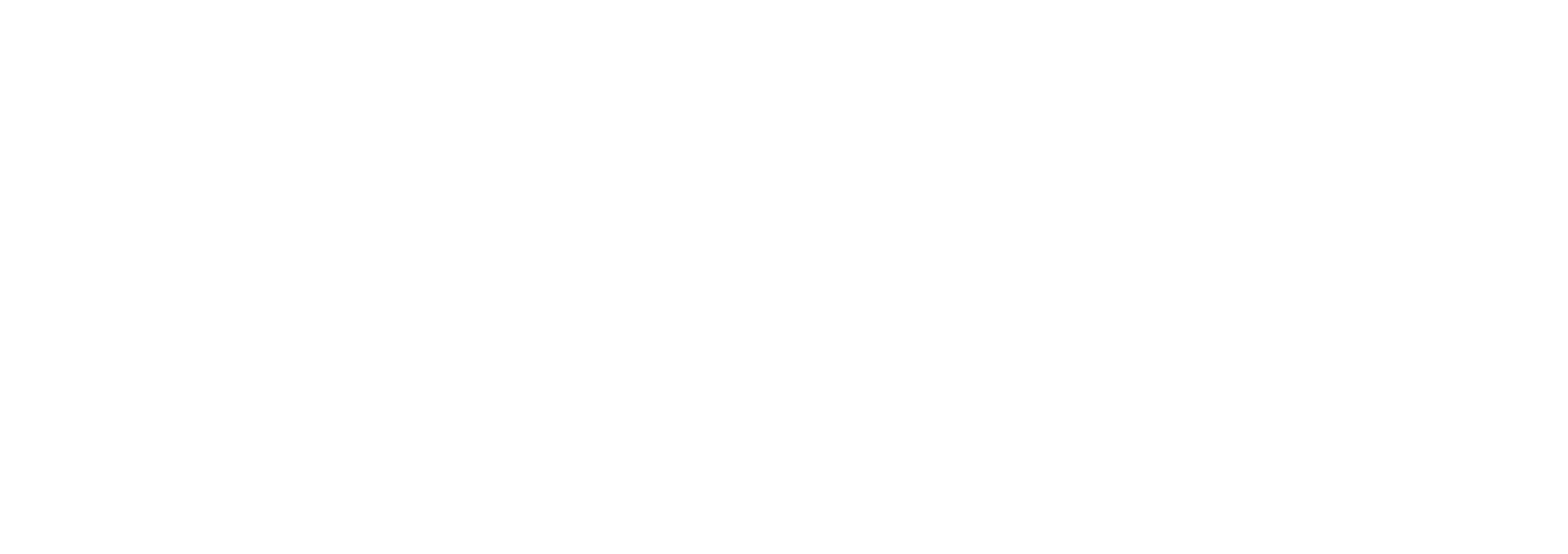 Notion Roots Logo