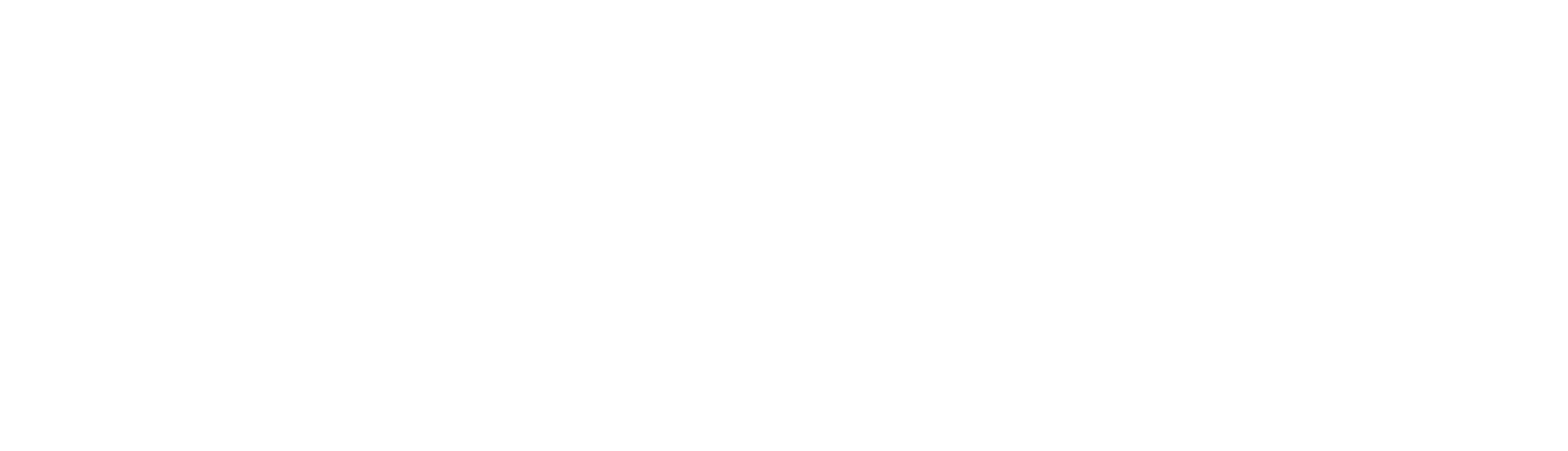 Allini water filtration systems logo