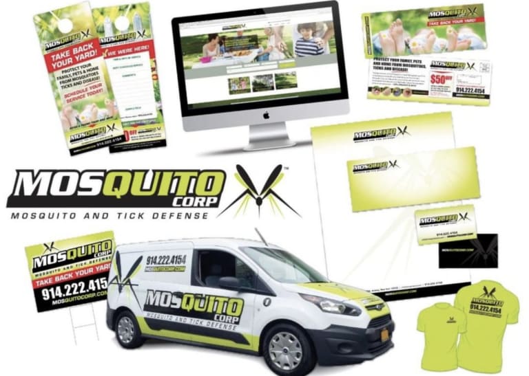 Mosquito Corp case study
