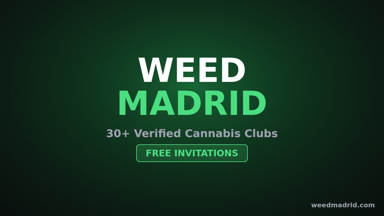 Weed Madrid — Your Cannabis Club Guide in Madrid