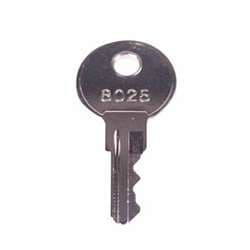 STI 18053 Extra Key for Thermostat Protectors