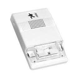 Edwards Signaling EG1FVM