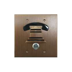 DoorBell Fon DP38-NBZF Door Station, Double Gang, Flush Mount, Discrete Camera Slot, Bronze