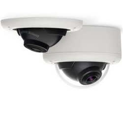 Arecont AV1145DN-04-D-LG