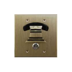 DoorBell Fon DP38-NBF Door Station, Double Gang, Flush Mount, Discrete Camera Slot, Brass