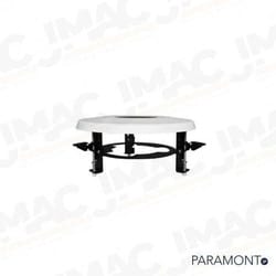 InVid Tech IPM-ICMVARDOME