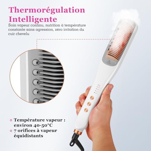 Vue 4 de Arasyleon Brosse Repasser