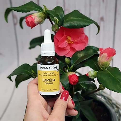 Vue 2 de Pranarom Huile Vegetale Camelia