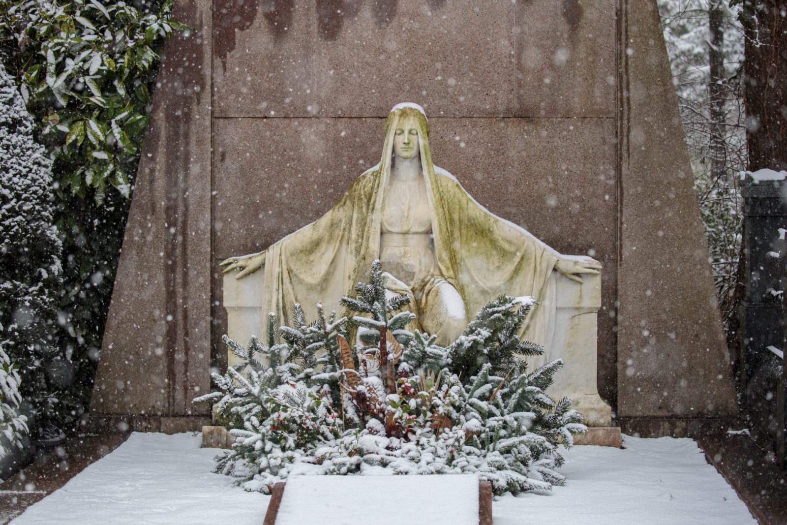 Veiled Woman in Winter Frost