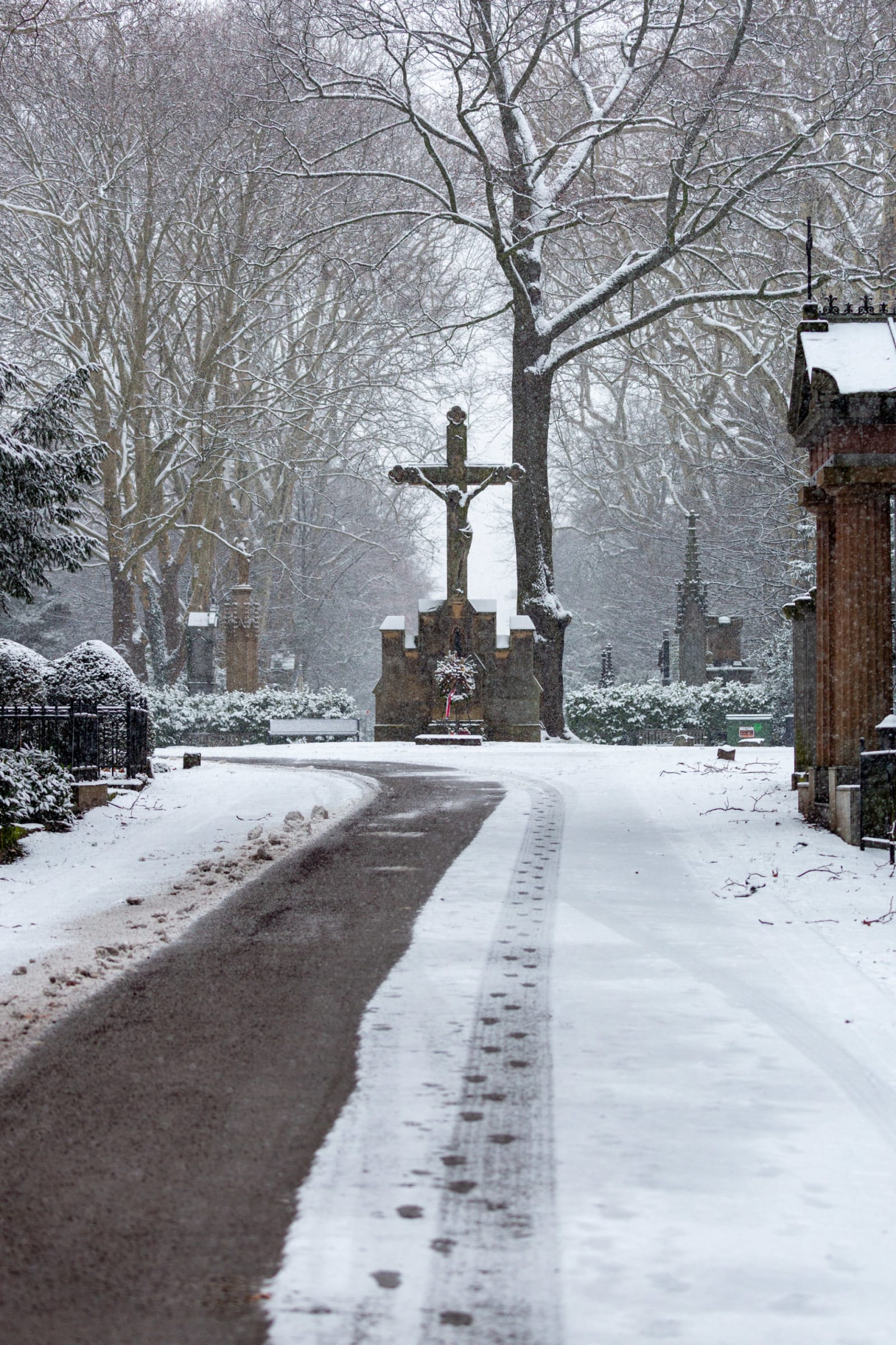 Winter at Cologne's Historic Melaten Cemetery