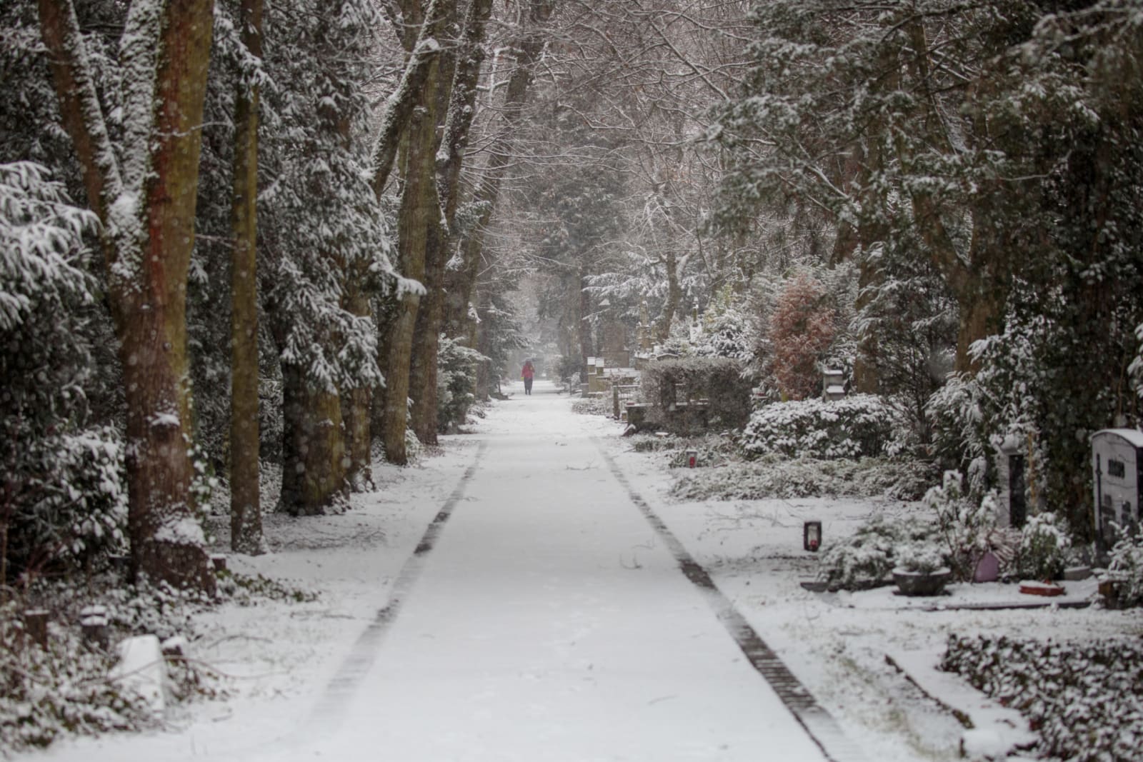 Lone Figure on Snowy Pathway