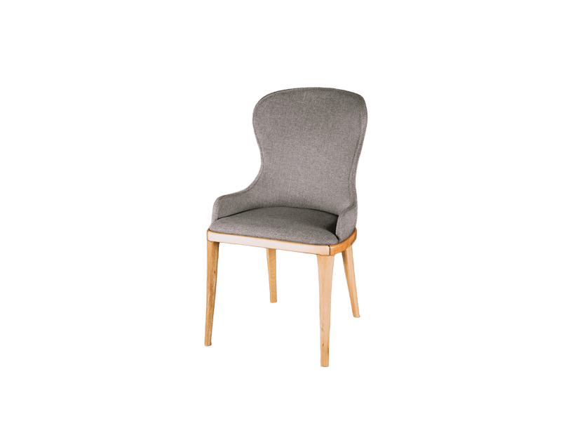 ○○に記事が紹介されました